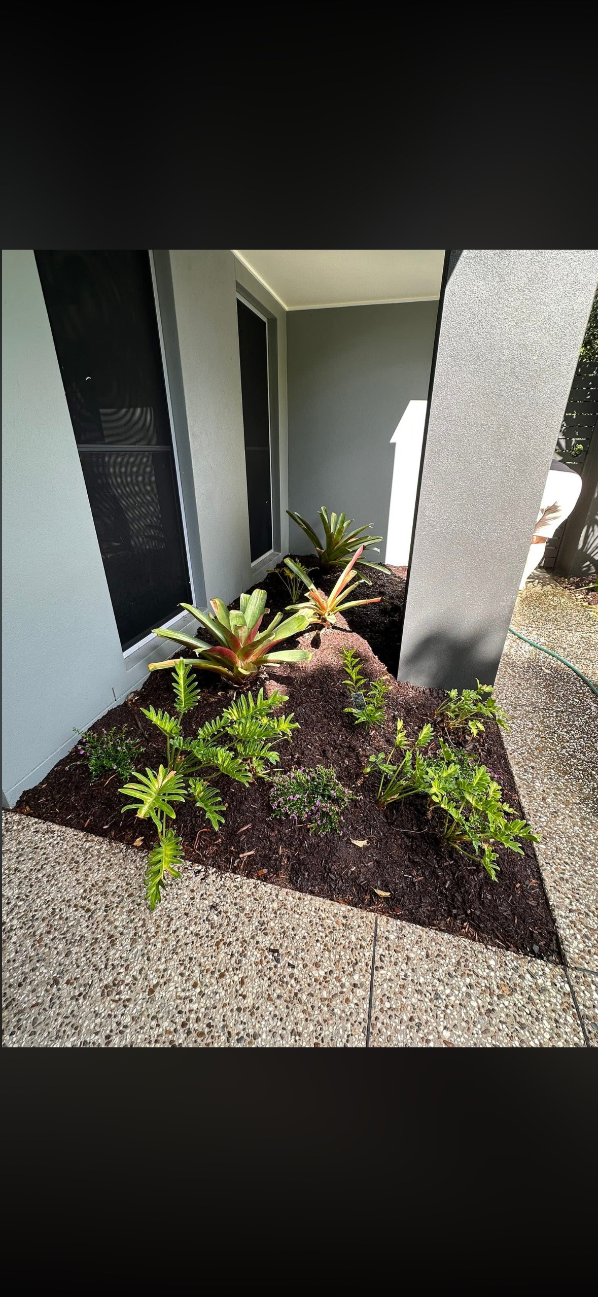 Planting