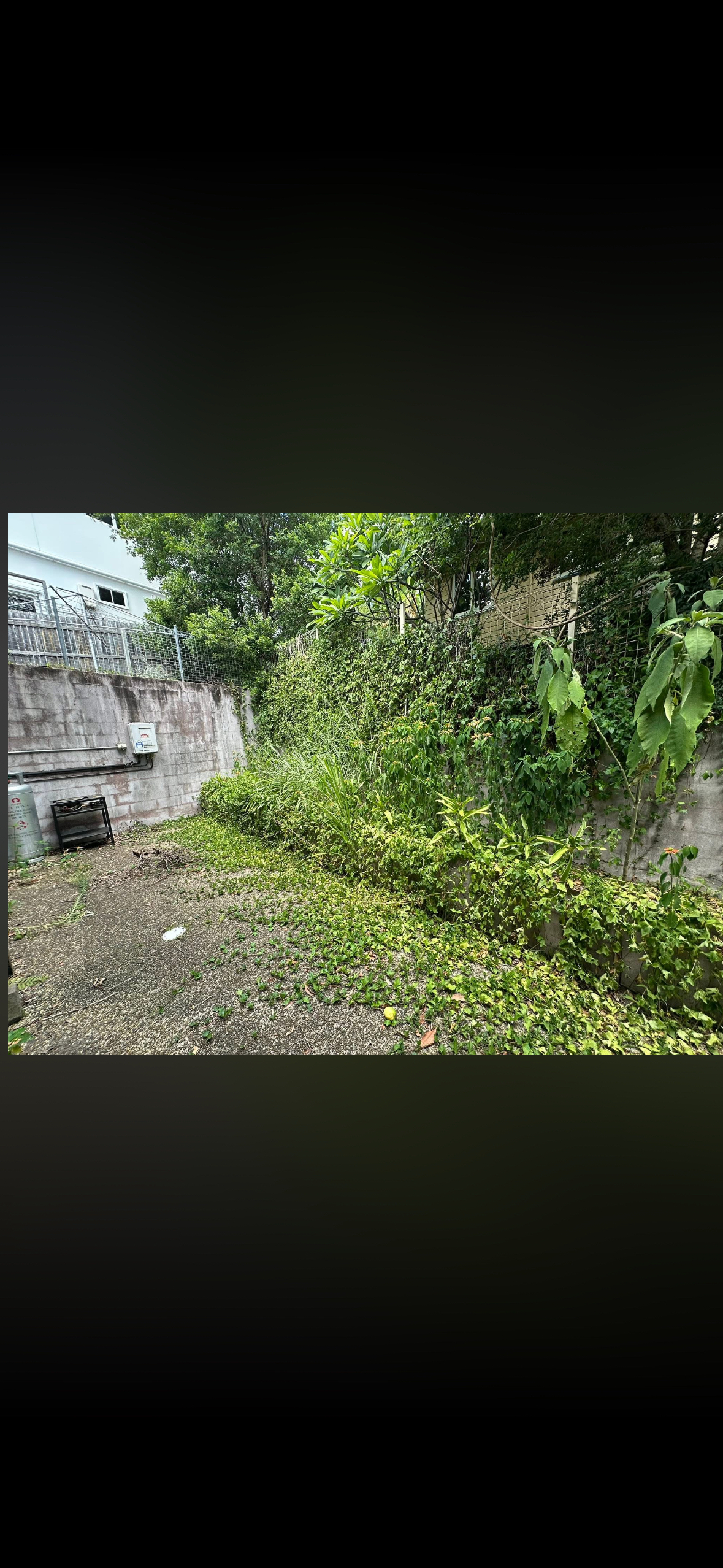 Weeds along wall before