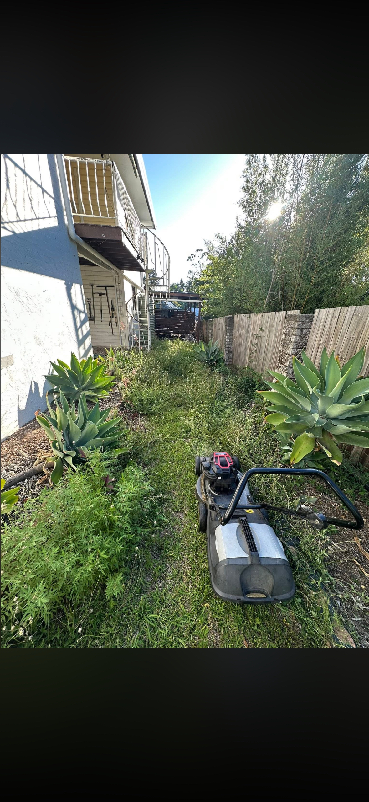 Overgrown side passage before